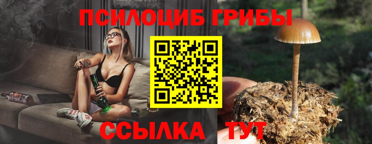 Псилоцибиновые грибы ЛСД Урюпинск