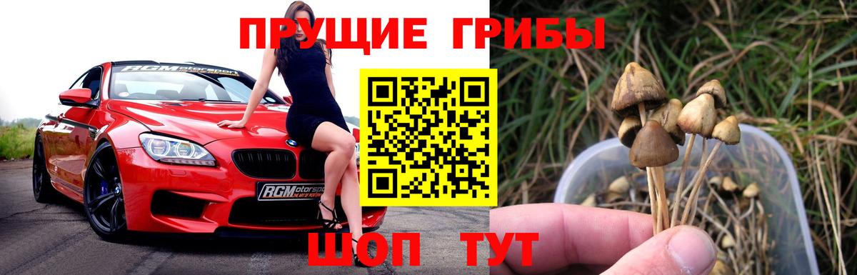 Галлюциногенные грибы мицелий  Псилоцибиновые грибы прущие грибы  купить наркотики цена  Вход с VPN  Урюпинск 